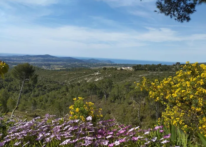 A L\'Ombre Des Pins Du Castellet