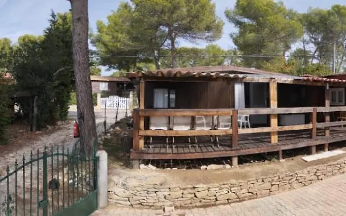 A L\'Ombre Des Pins Du Castellet